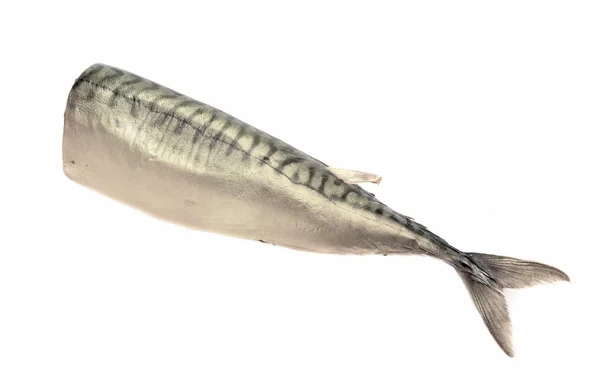 Рыба Копченая Скумбрия Головы — стоковое фото