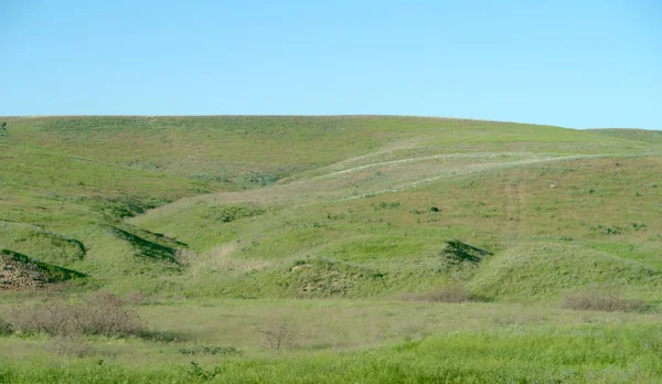 Collines Steppe Verdoyantes Par Une Journée Ensoleillée — Photo