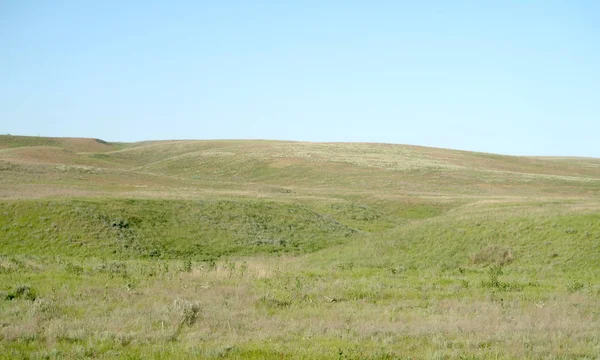 Grön Stäpp Hills Solig Dag — Stockfoto