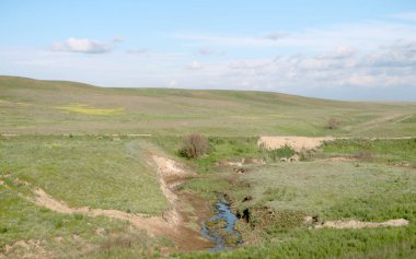 Yeşil bozkır hills güneşli