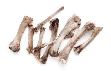 Beyaz bir arka plan üzerinde kemik tavuk