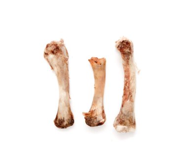 Beyaz bir arka plan üzerinde kemik tavuk