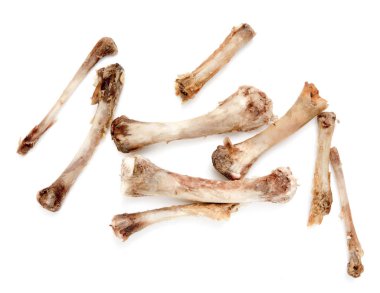 Beyaz bir arka plan üzerinde kemik tavuk