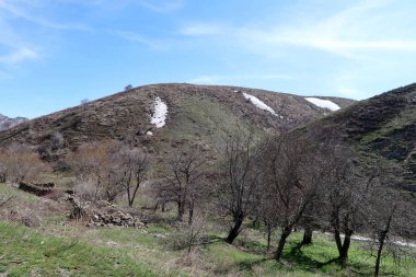 Dağlar taşlar, hills, çayırlar, bahar manzara