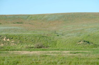 Yeşil bozkır hills güneşli