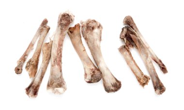 Beyaz bir arka plan üzerinde kemik tavuk