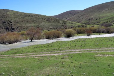 Dağlar taşlar, hills, çayırlar, bahar manzara