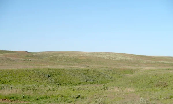 Collines Steppe Verdoyantes Par Une Journée Ensoleillée — Photo