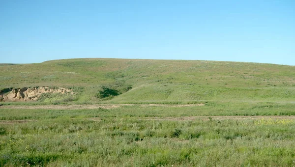 Grön Stäpp Hills Solig Dag — Stockfoto