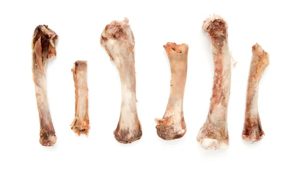Kości Kurczaka Białym Tle — Zdjęcie stockowe