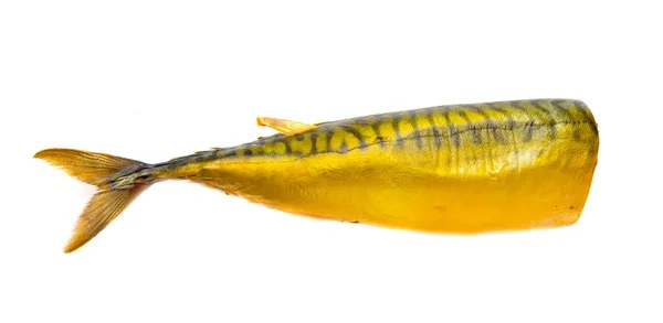 Риба Копчена Скумбрія Голови — стокове фото