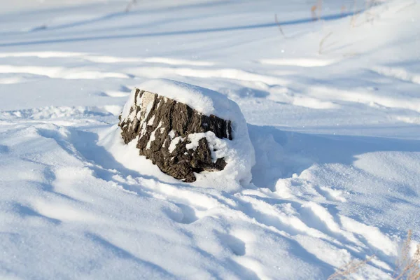 Houten Stronk Sneeuw Winter — Stockfoto