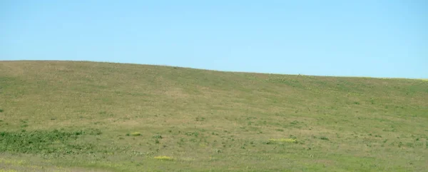 Collines Steppe Verdoyantes Par Une Journée Ensoleillée — Photo