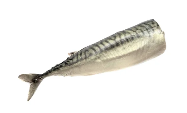 Fisk Rökt Makrill Utan Huvud — Stockfoto