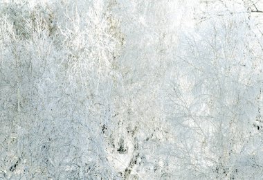 Kar buz kış ağaçlarda