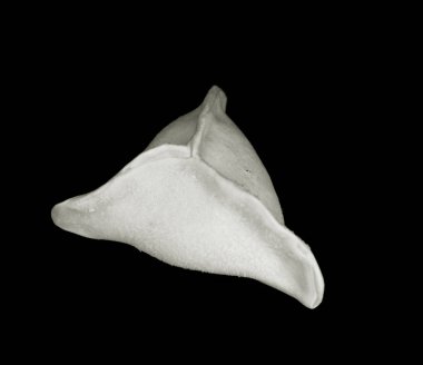 Hıngel Mantı siyah arka plan üzerine