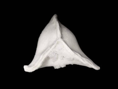 Hıngel Mantı siyah arka plan üzerine