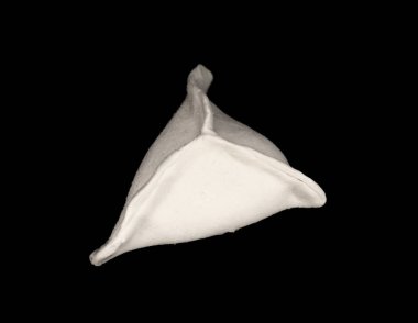 Hıngel Mantı siyah arka plan üzerine