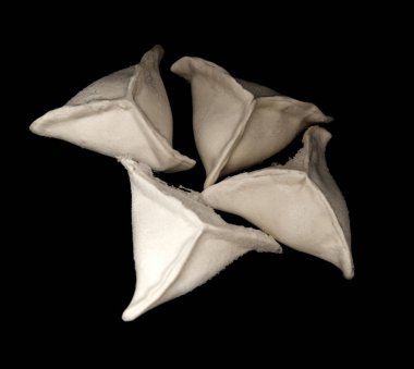 Hıngel Mantı siyah arka plan üzerine