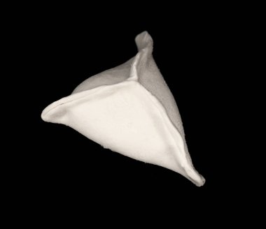 Hıngel Mantı siyah arka plan üzerine