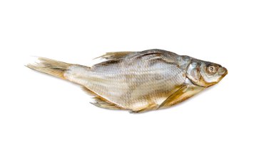 beyaz zemin üzerinde kurumuş tuzlu balık