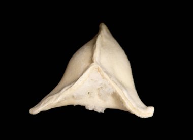 Hıngel Mantı siyah arka plan üzerine