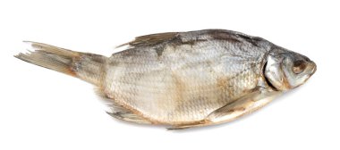 beyaz zemin üzerinde kurumuş tuzlu balık