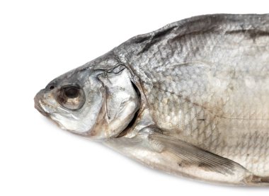 beyaz zemin üzerinde kurumuş tuzlu balık