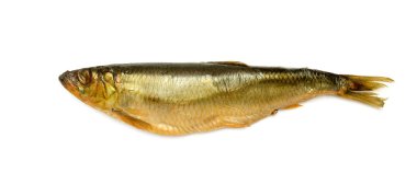 Beyaz arka planda izole edilmiş tütsülenmiş balık