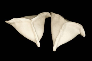 Hıngel Mantı siyah arka plan üzerine