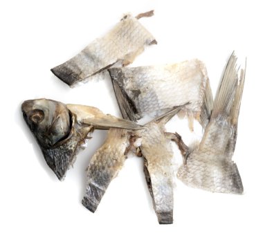 beyaz zemin üzerinde kurumuş tuzlu balık