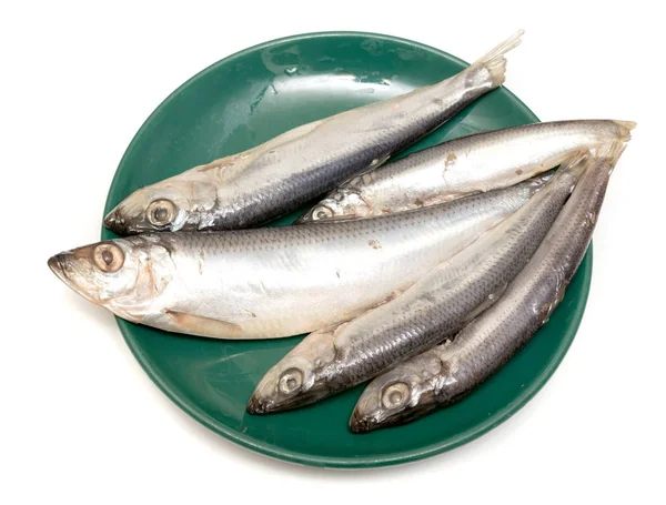 Sprats Fish Plate — Stock Photo, Image