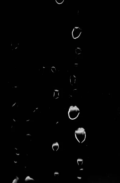 黒い背景に水滴が — ストック写真