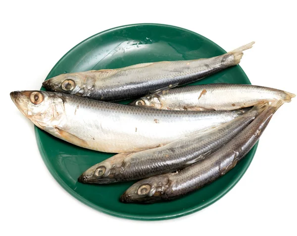 Sprats Fish Plate — Stock Photo, Image