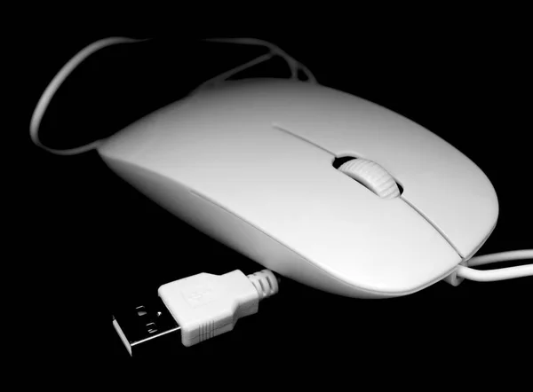 Λευκό Ποντίκι Για Τον Υπολογιστή Μαύρο Φόντο — Φωτογραφία Αρχείου