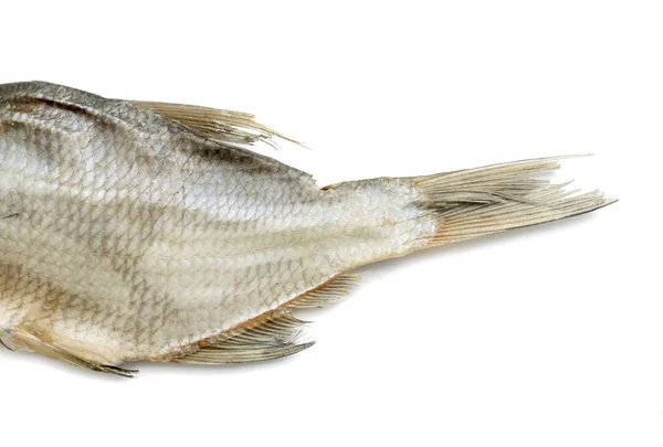 Ikan Asin Kering Pada Latar Belakang Putih — Stok Foto