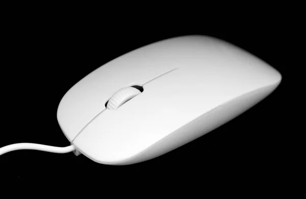 Белая Мышь Компьютера Черном Фоне — стоковое фото