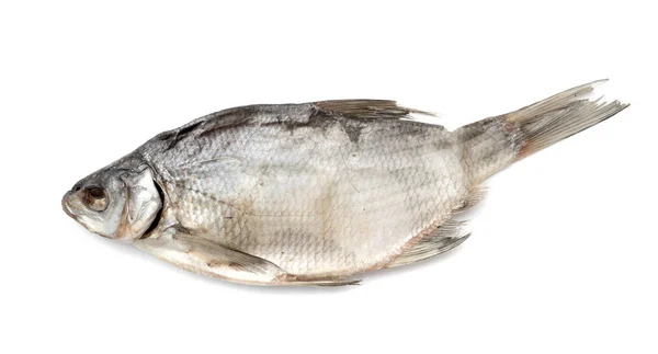 Сушена Солона Риба Білому Тлі — стокове фото