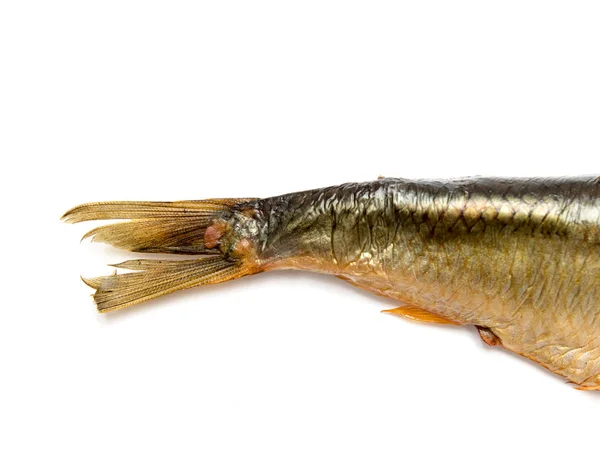 Poissons Fumés Isolés Sur Fond Blanc — Photo