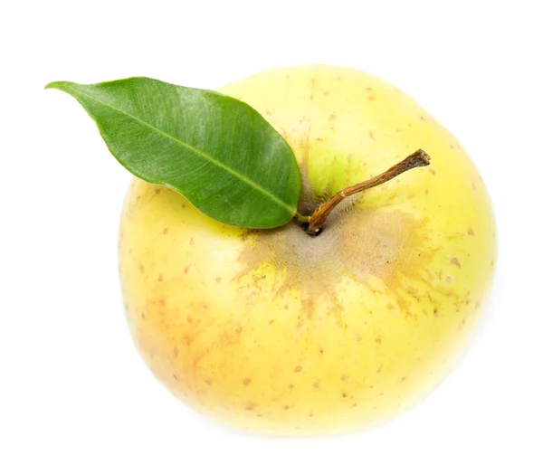 Manzana Amarilla Con Una Hoja Sobre Fondo Blanco —  Fotos de Stock