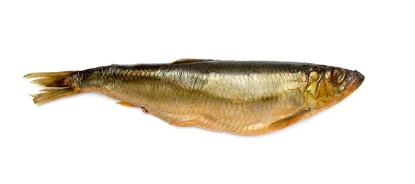 Räucherfisch Isoliert Auf Weißem Hintergrund — Stockfoto