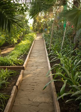 bir botanik bahçesi içinde taş döşeme