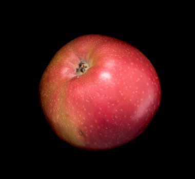 Siyah bir arka plan üzerinde izole olgun elma