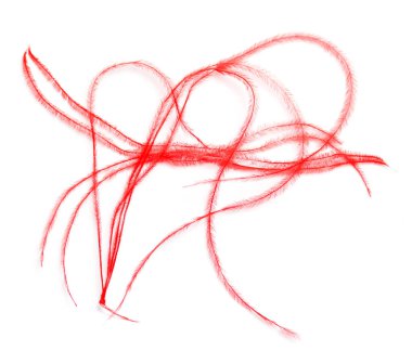 beyaz bir arka plan üzerinde elbise için kırmızı tüyler