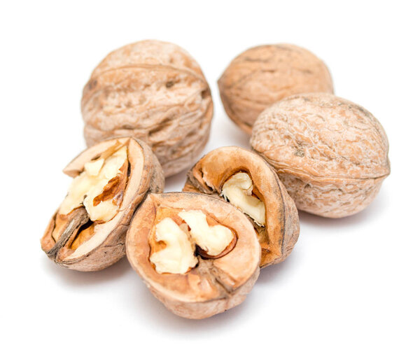 walnuts on a white background