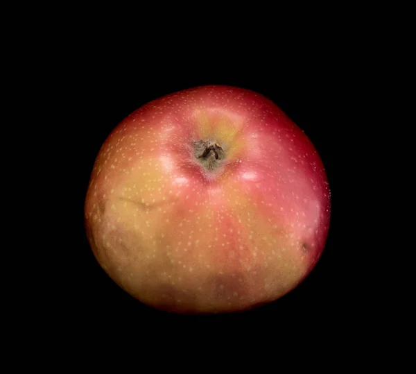 Pomme Mûre Isolée Sur Fond Noir — Photo