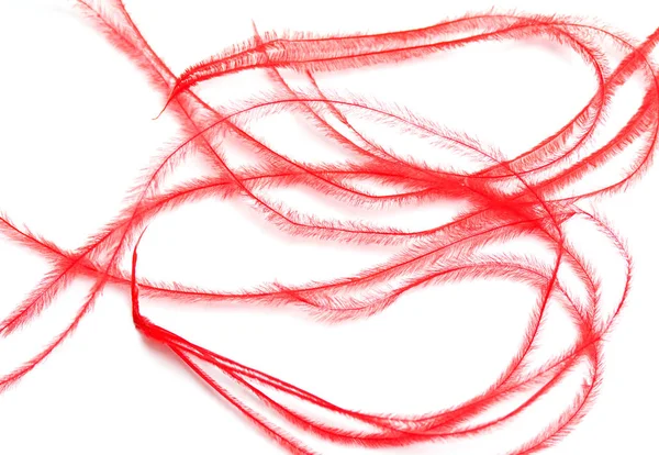 Rote Federn Für Das Kleid Auf Weißem Hintergrund — Stockfoto