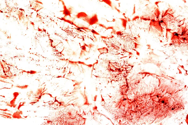 Beyaz Kağıt Üzerine Kırmızı Kan Damlaları — Stok fotoğraf