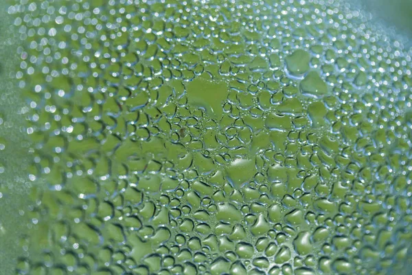 Blurred Drops Water Background — Stock Photo, Image