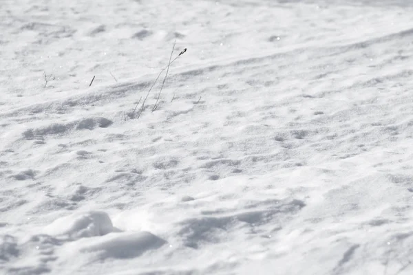 Vit Snö Högen Klumpar — Stockfoto